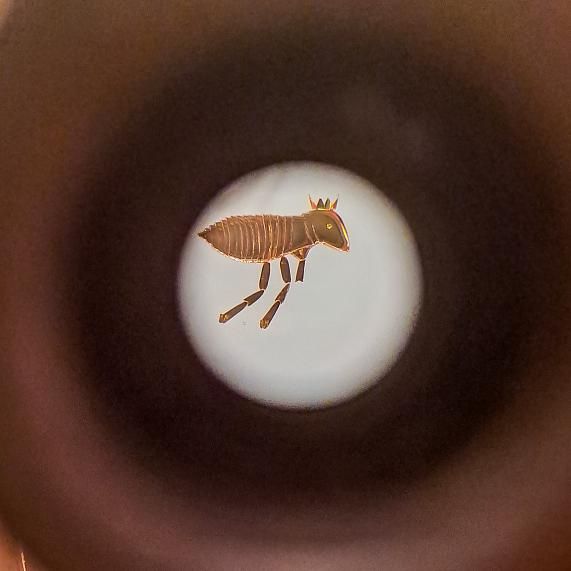 Musée des miniatures